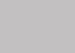 Solid gray placeholder image with no visible subject or content