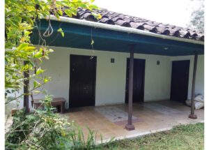 Front porch of a small house with three dark doors under a tiled roof and a green wall, flanked by plants and a bench on the left.
