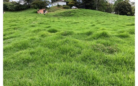 Green grassy field with small mounds on a hillside; a white house and trees visible in the background, atop the hill.