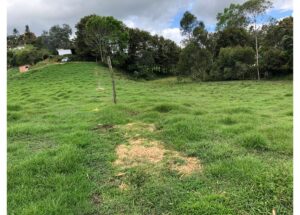 Green grassy field on a gentle slope with a dirt path and a lone fence post, trees and houses visible in the background.