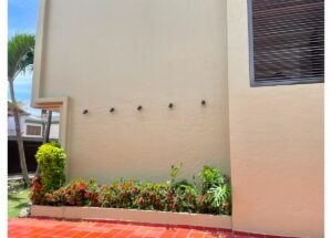 Exterior wall with six black hooks mounted in a line above a flower bed of red blooms; tropical plants and a red-tiled patio visible.
