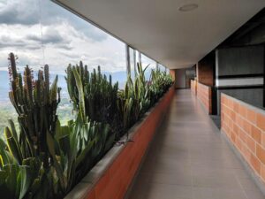 Long indoor corridor with a brick planter along the left filled with tall green succulents and cacti, and large windows showing a cloudy sky beyond.