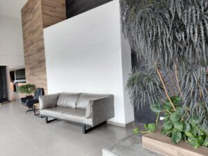 Modern hotel lobby seating: grey sofa with black metal legs against a white wall and wooden accent wall, with large indoor plants nearby.