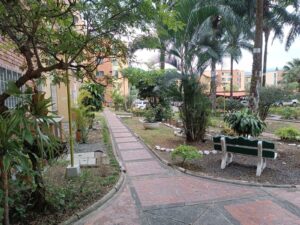Brick-paved path winds through a residential courtyard full of tropical plants, with a green bench nearby and apartment buildings in the background.