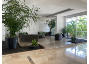 Modern indoor lobby with wicker seating on a wooden deck, tall potted plants, and large glass windows overlooking palm trees outside, bright and airy.