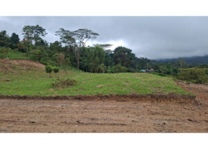 Dirt road and earthen embankment in the foreground, leading to a green, grassy hillside with scattered trees under a cloudy sky.
