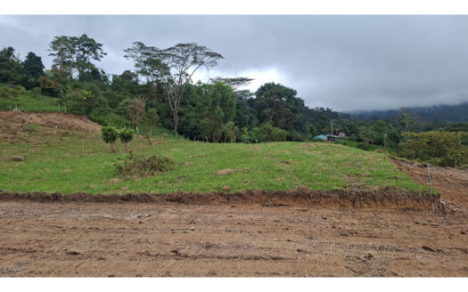 Dirt road and earthen embankment in the foreground, leading to a green, grassy hillside with scattered trees under a cloudy sky.