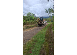 Excavator mounted on a flatbed trailer parked on a gravel rural road, with greenery and cloudy sky in the background.