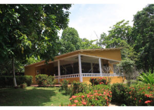 Yellow single-story house with a covered porch, white railings, and a lush garden with red flowers in front.
