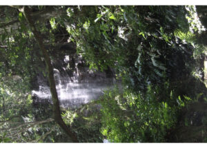 Water cascading over rocks in a dense green jungle, sunlight filtering through leaves.