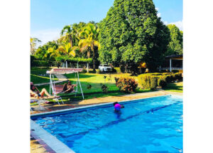 Outdoor pool area on a sunny day with two people sunbathing on lounge chairs and a pink ball floating in the blue water.