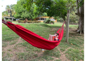 Person relaxing in a red hammock tied between trees, reading a book outdoors in a grassy yard.