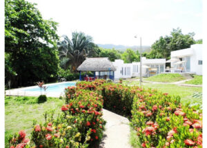 Path through a flower-filled garden toward a pool with a thatched gazebo and white buildings in the background at a sunny resort.