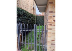 Narrow grassy passage between brick buildings, viewed through a gray metal gate with vertical bars and a hedge on the left side.