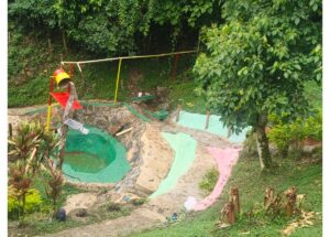 Terraced garden pool with green and pink painted sections, stone steps, and a makeshift play setup in a lush yard.