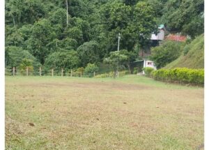 Open grassy field with a row of wooden fence posts, dense trees, and a small white building tucked into a hillside ahead.