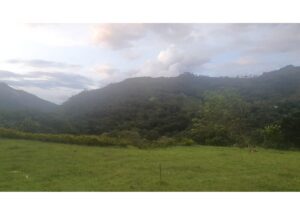 Green meadow in the foreground with forested hills and a cloudy sky above.