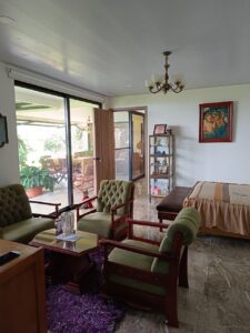 Living room with green tufted armchairs around a glass coffee table on a purple rug, open glass doors to a sunlit patio.