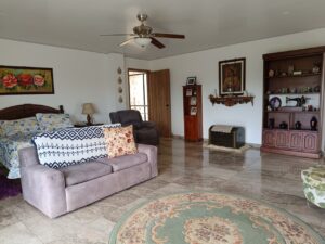Living room with a mauve sofa, bed on the left, ceiling fan overhead, and wooden shelves along the far wall.
