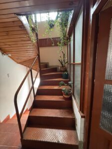 Indoor metal-stairwell with potted plants on steps and a wooden ceiling paneled wall to the left.