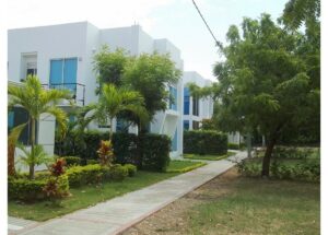 White modern townhouse row with blue doors, palm trees, and a paved walkway in a well-kept garden.