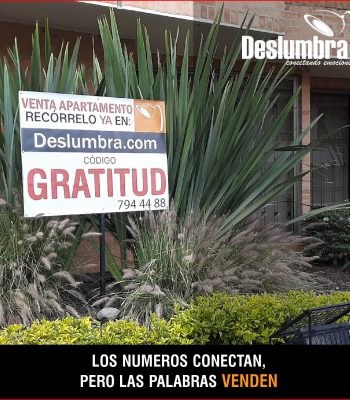 Avisos Deslunbra